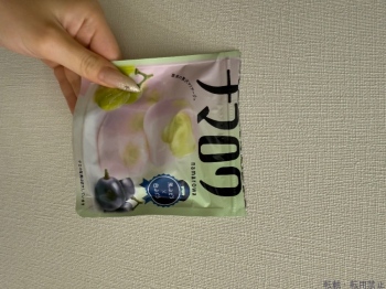 ブログ画像
