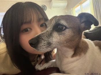 ブログ画像