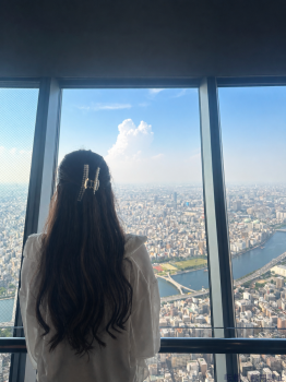 ブログ画像