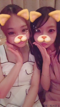ブログ画像