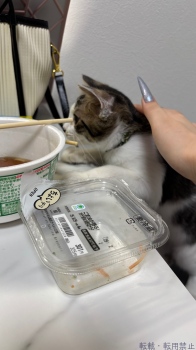 ブログ画像