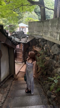ブログ画像