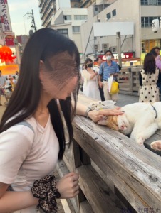  さくら