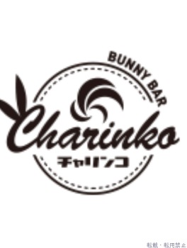 バニー スタッフのプロフィール画像