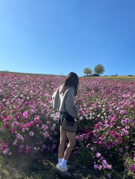  めいのプロフィール画像