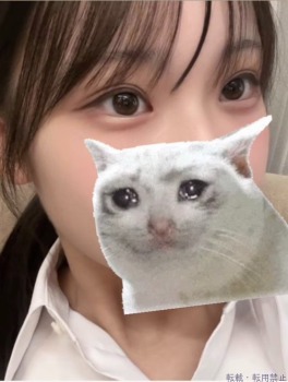  いとのプロフィール画像