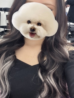 加藤蘭