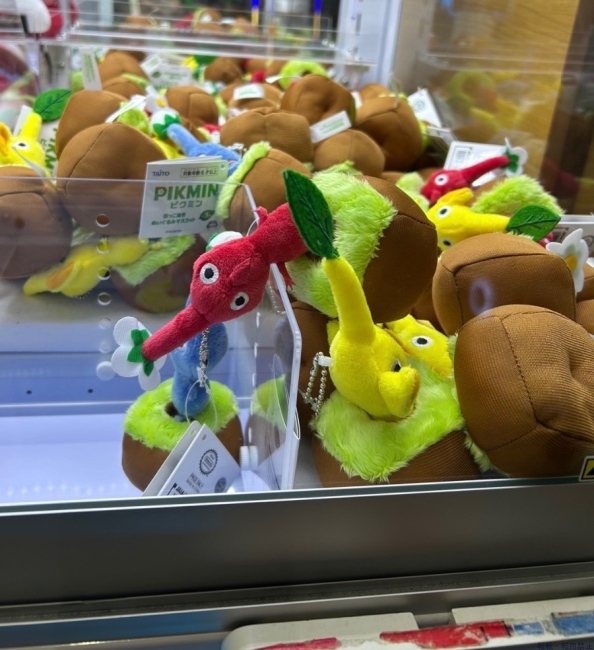ブログ画像
