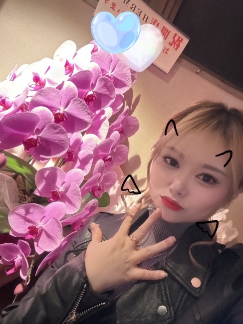 ブログ画像