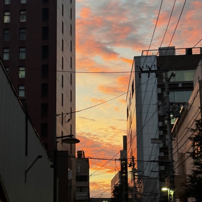 ブログ画像