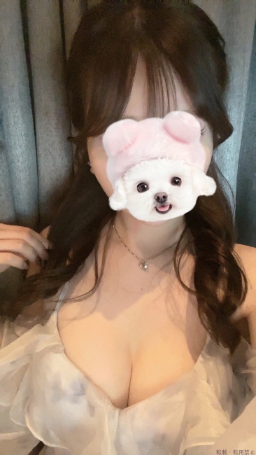 ブログ画像