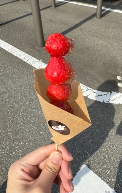 ブログ画像