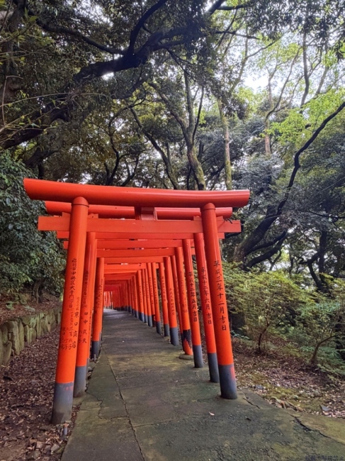 ブログ画像