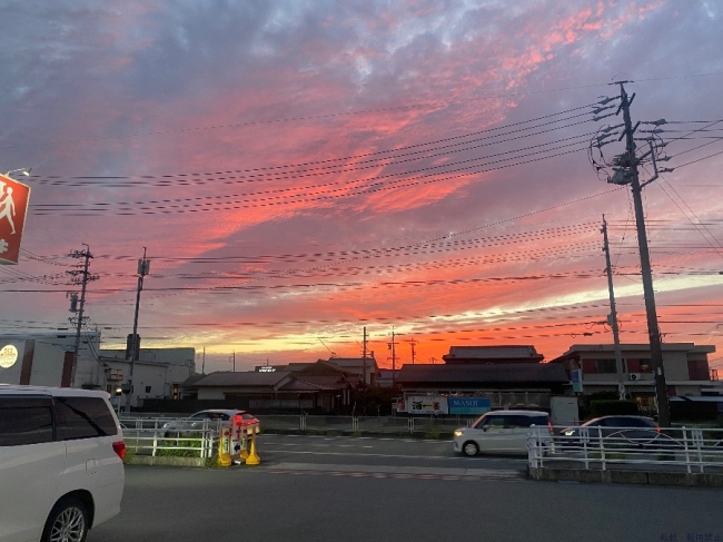 ブログ画像