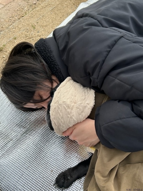 ブログ画像