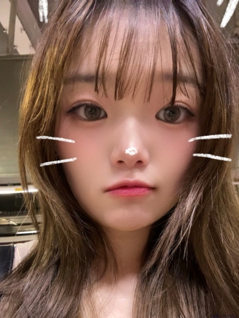 ブログ画像