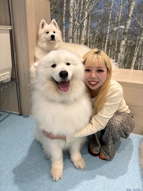 ブログ画像