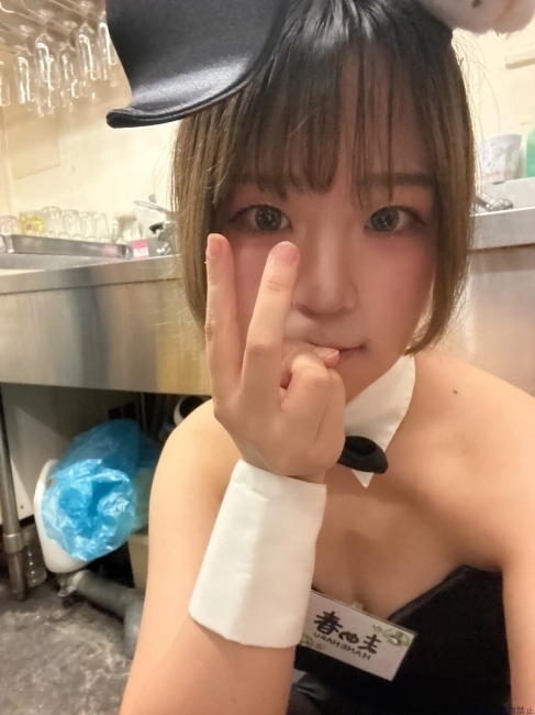 ブログ画像
