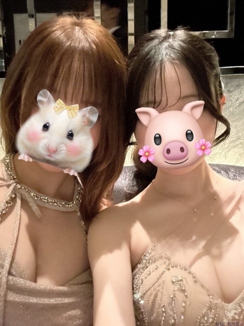 ブログ画像