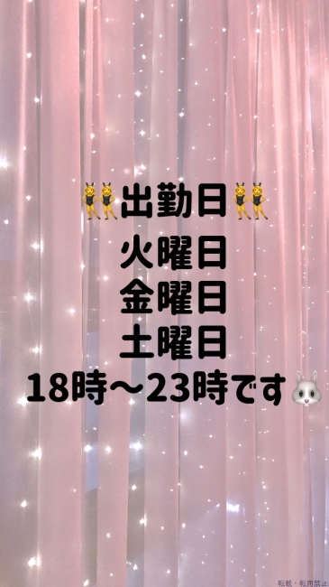 ブログ画像