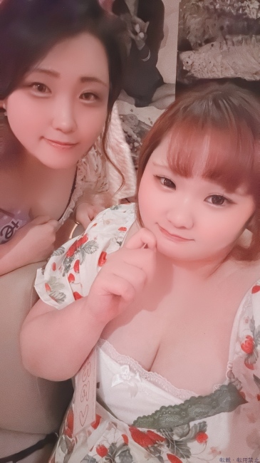 ブログ画像