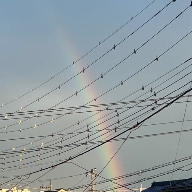 ブログ画像