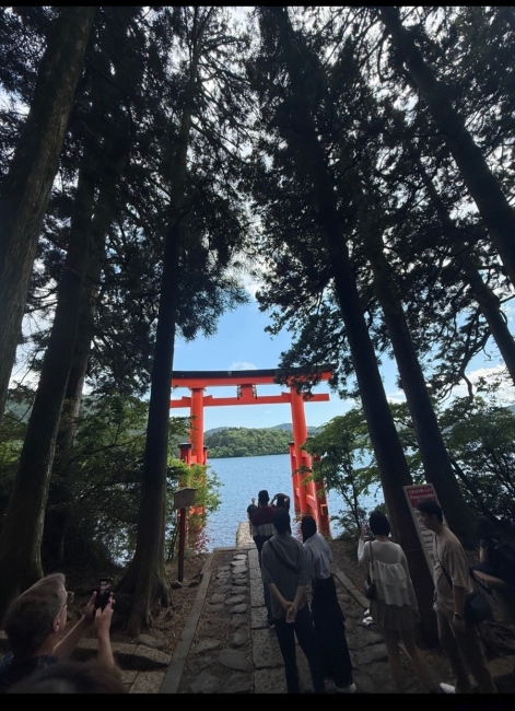 ブログ画像