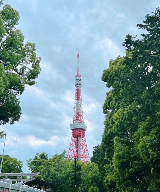 ブログ画像