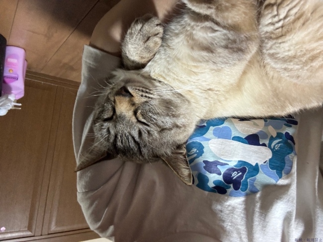 ブログ画像