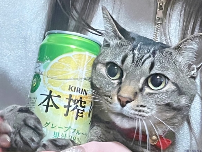ブログ画像