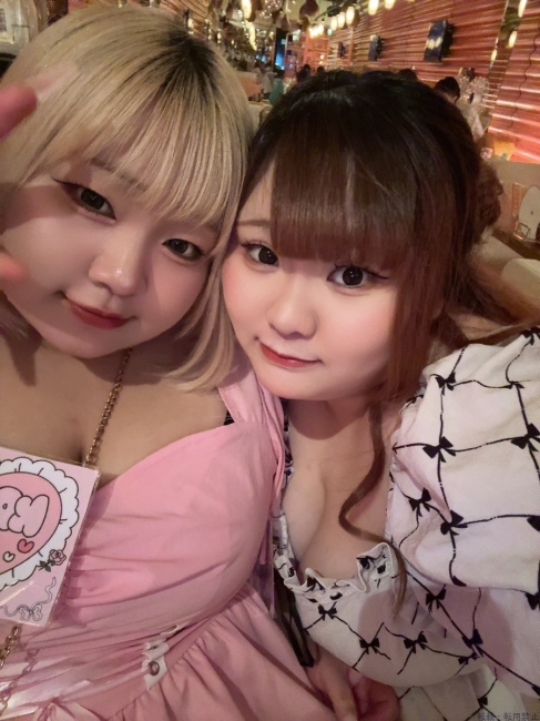 ブログ画像