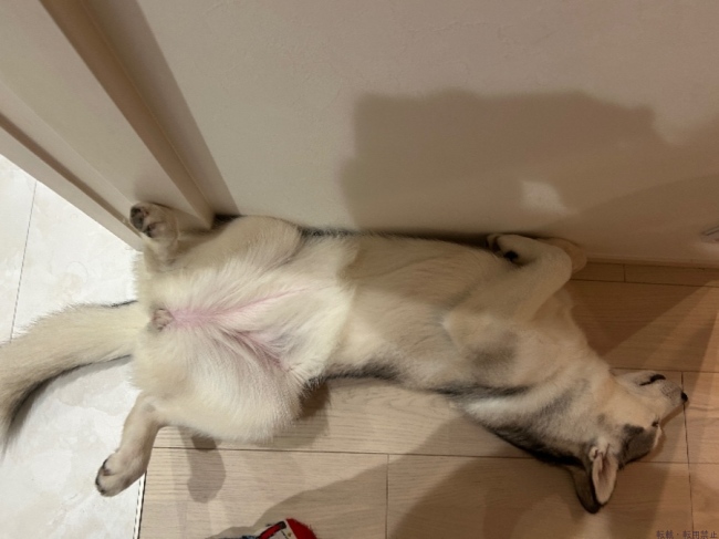 ブログ画像