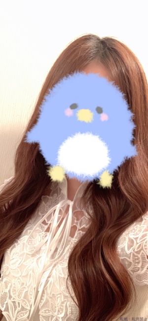 ブログ画像