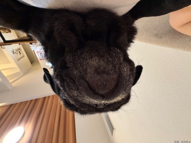 ブログ画像