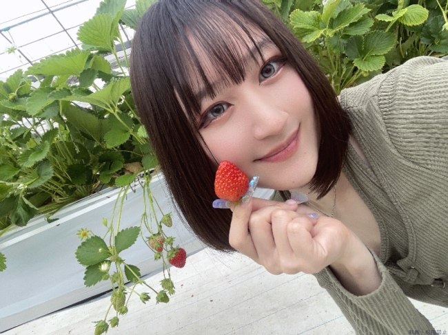 ブログ画像