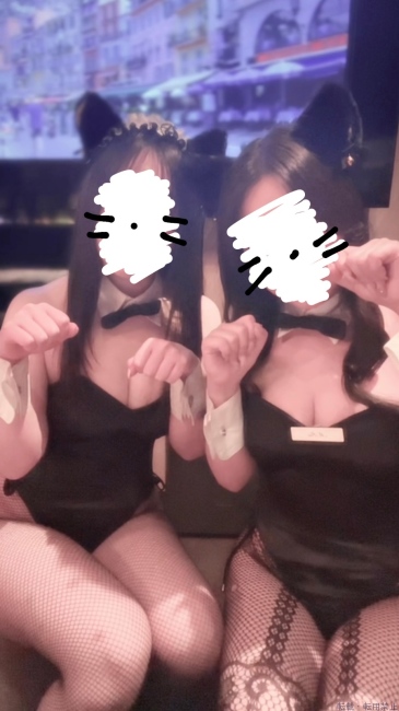 ブログ画像