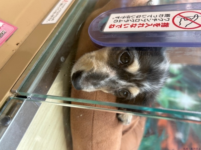 ブログ画像