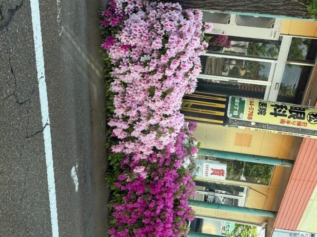 ブログ画像