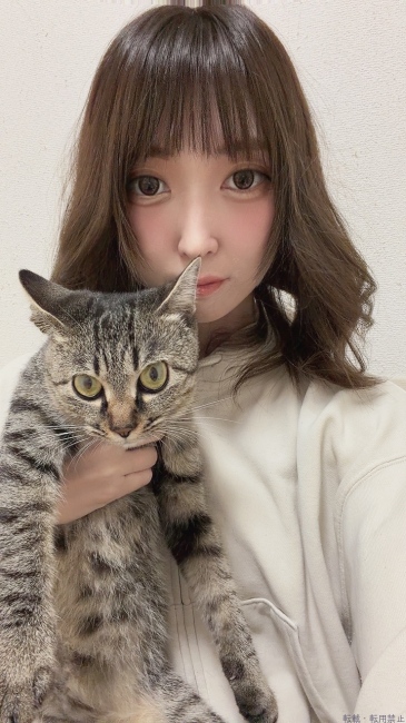 ブログ画像
