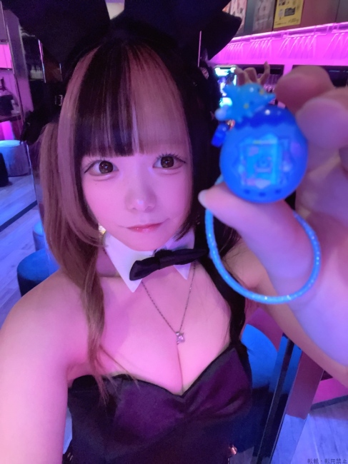 ブログ画像