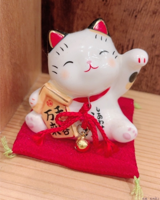 ブログ画像