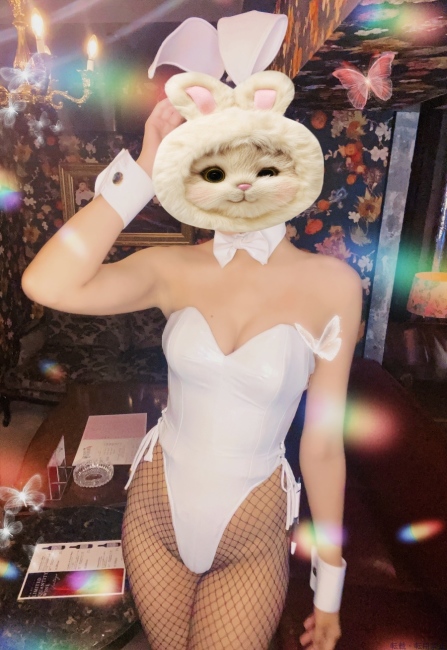 ブログ画像