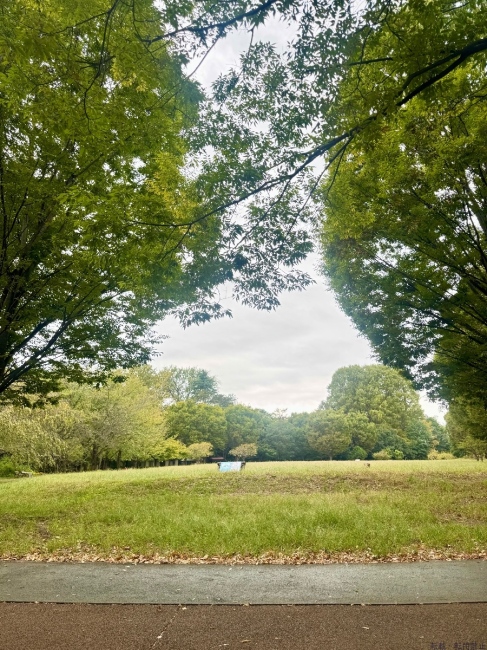 ブログ画像