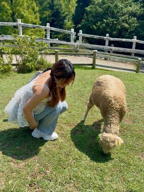 ブログ画像