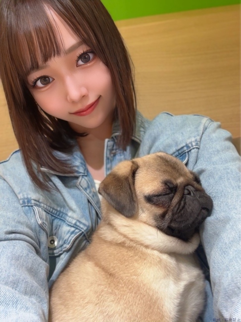 ブログ画像