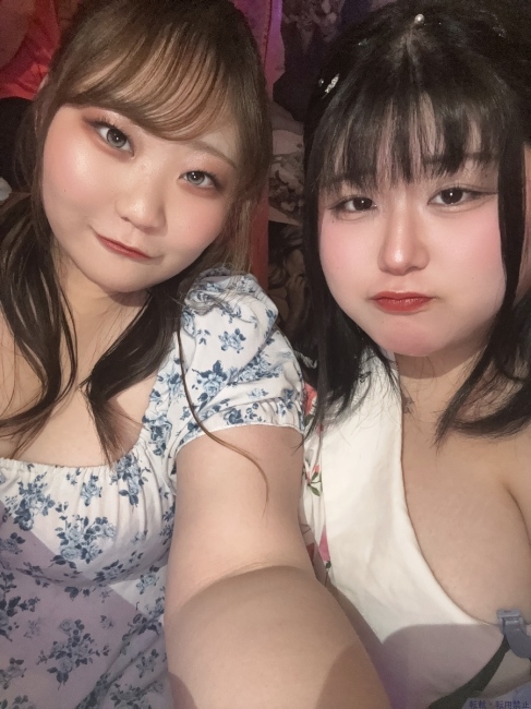 ブログ画像