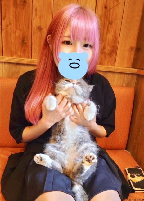 ブログ画像
