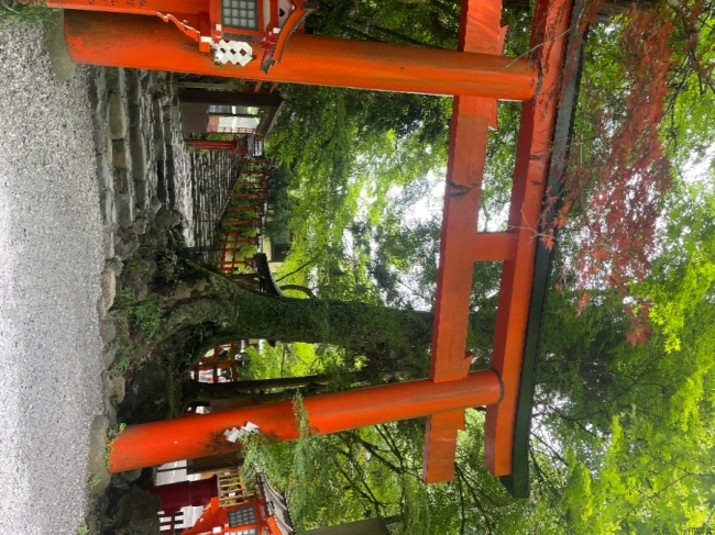 ブログ画像
