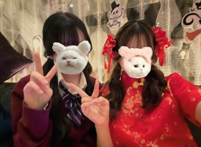 ブログ画像