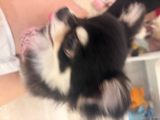 ブログ画像
